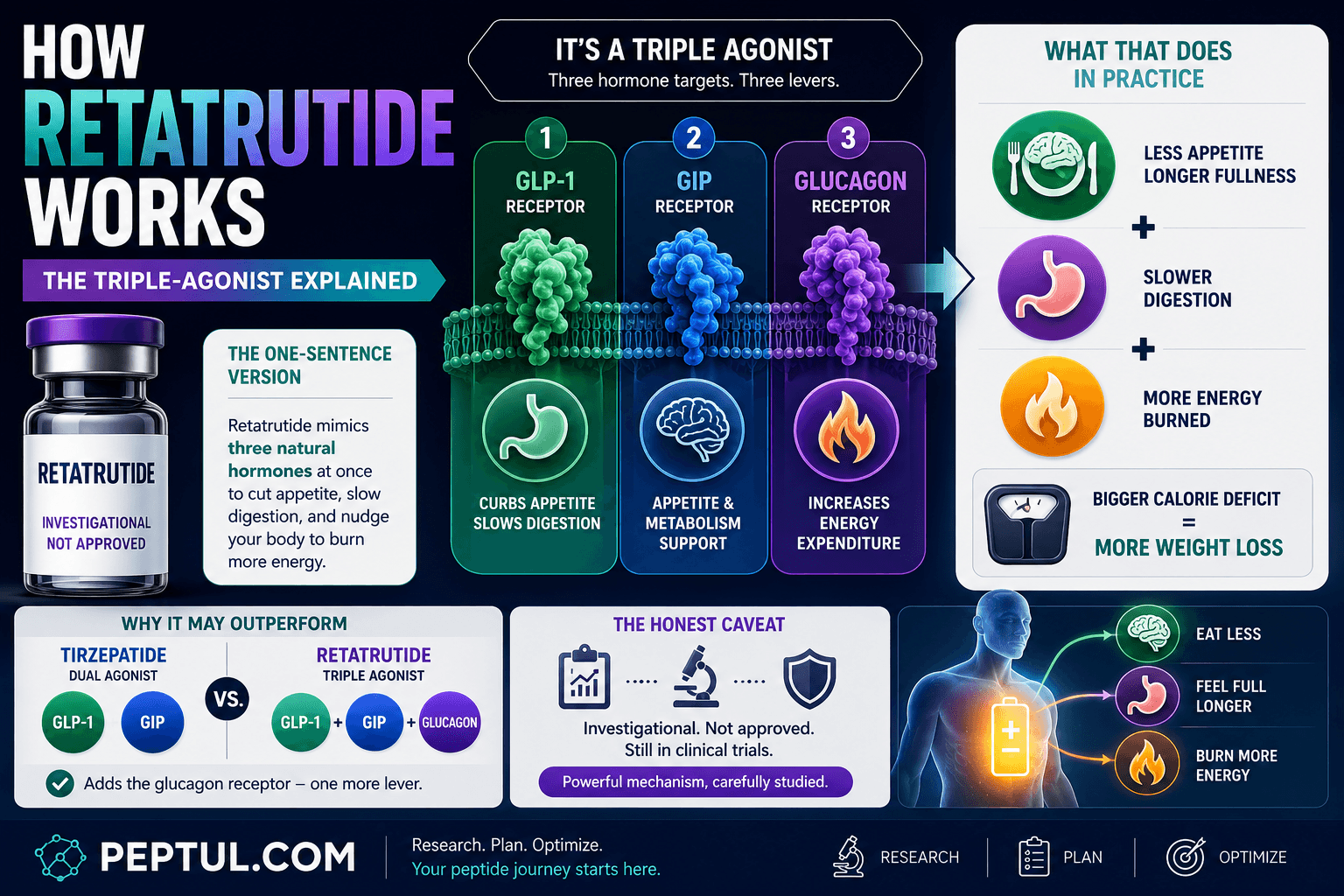 How Retatrutide Works: The Triple-Agonist Explained