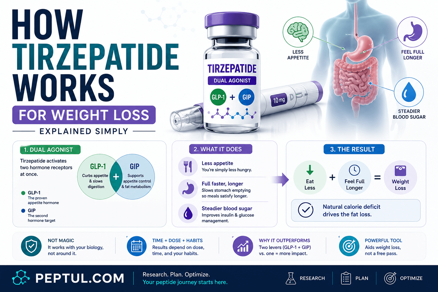 How Tirzepatide Works for Weight Loss (Explained Simply)
